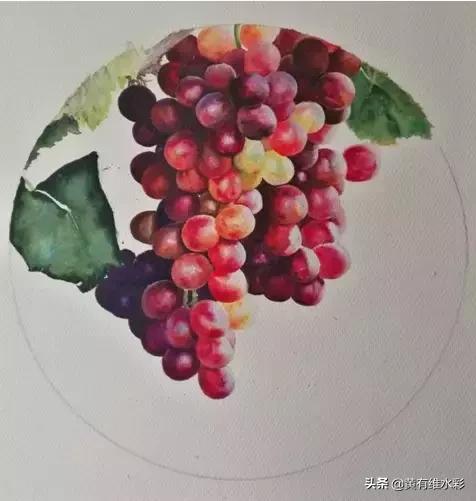 晶莹剔透的葡萄,水彩葡萄图片