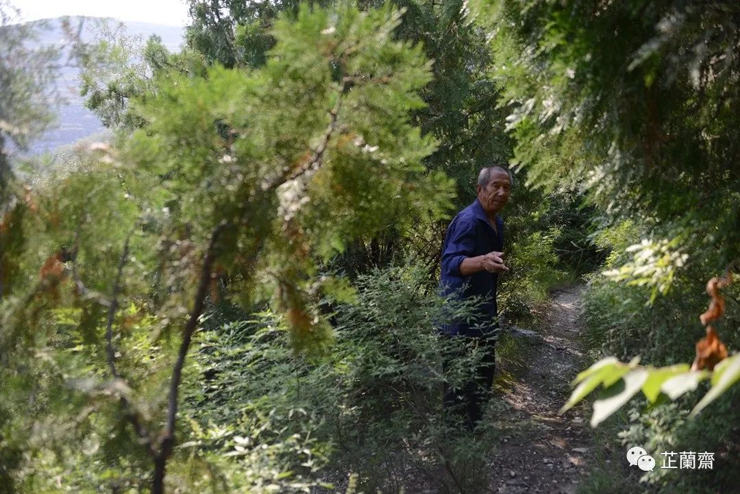 璞珷涔﹂櫌,涔﹂櫌淇濆畾