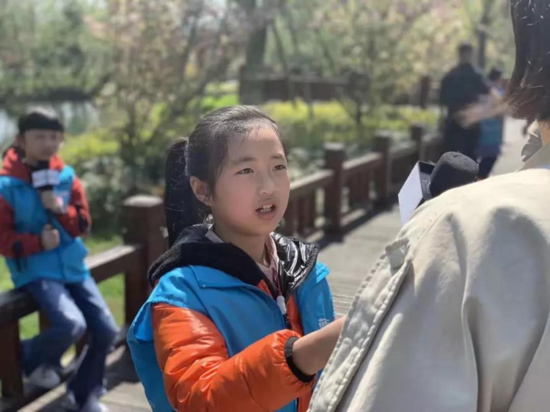 学播音口才,免费学主持