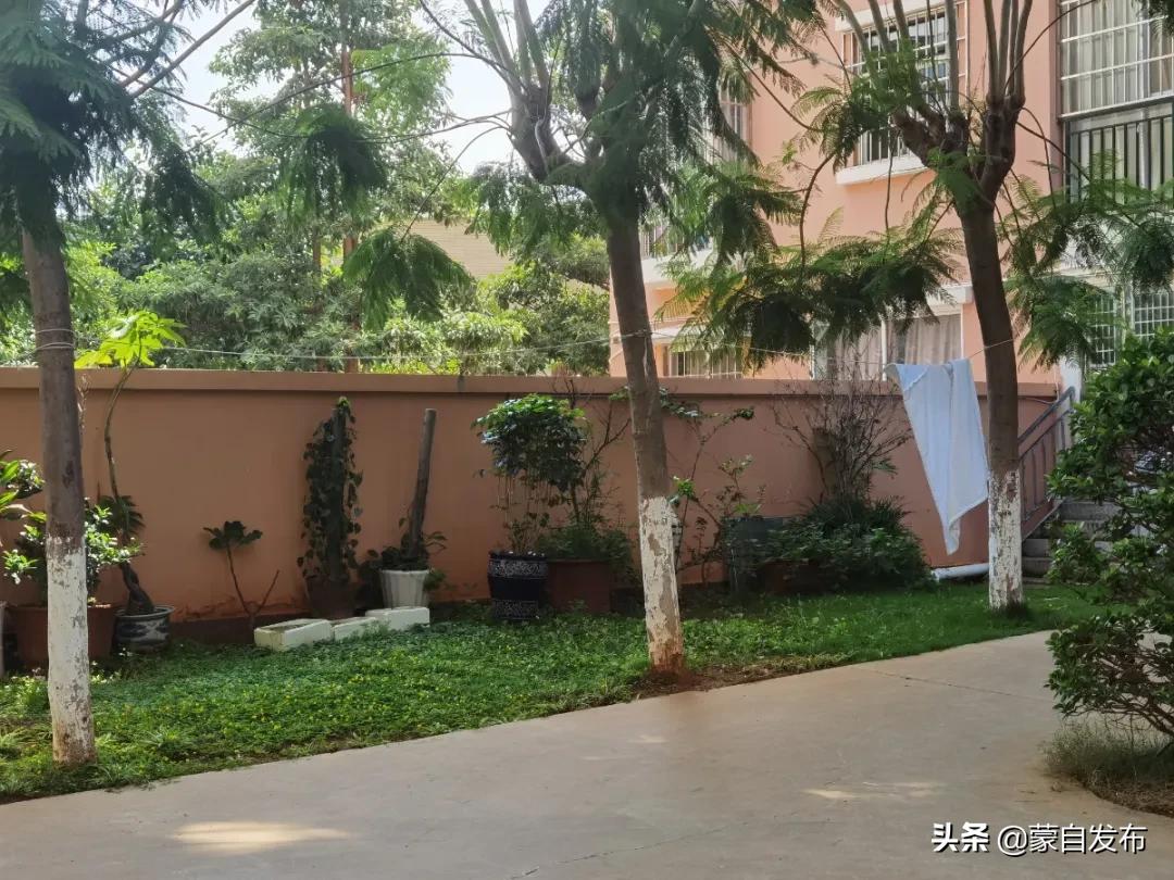 文明创建物业,社区物业文明创建工作存在问题