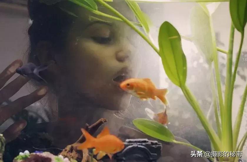 世界顶级摄影师的经典摄影作品,全球100位摄影师分享