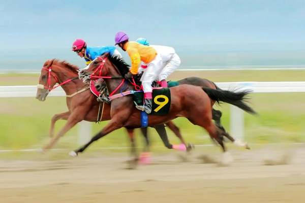 10月10日2020年*疆新**伊犁天马国际旅游节网络节庆重磅上线
