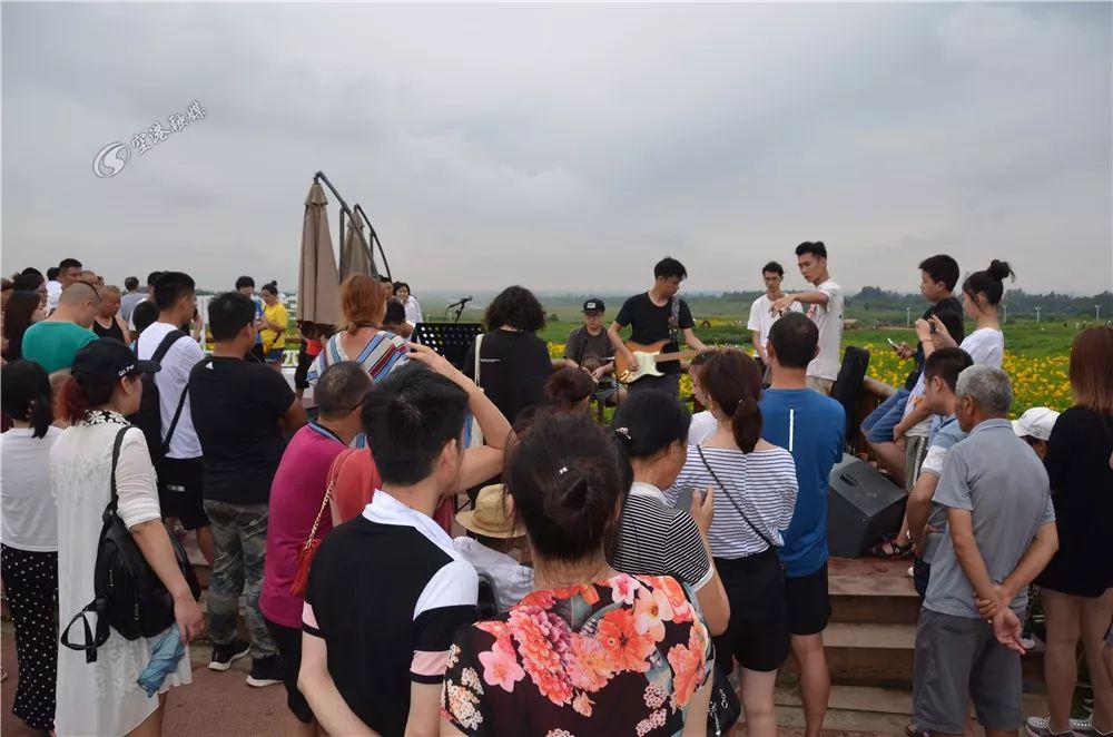 成都空港花田什么时候去最好看,双流空港花田这两天去好耍不