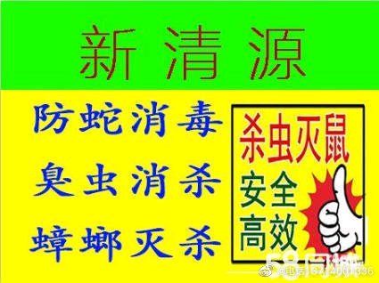 惠州上门灭白蚁公司推荐,惠州专业白蚁灭杀公司