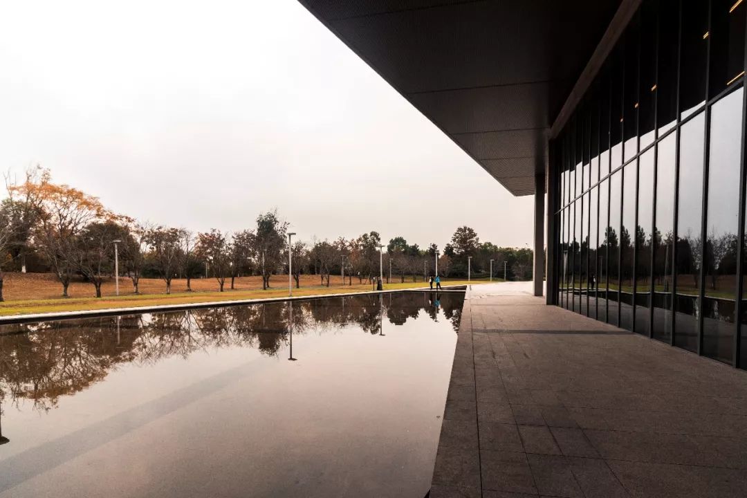 进了图书馆就不想走了的文案,进了图书馆就不想走了