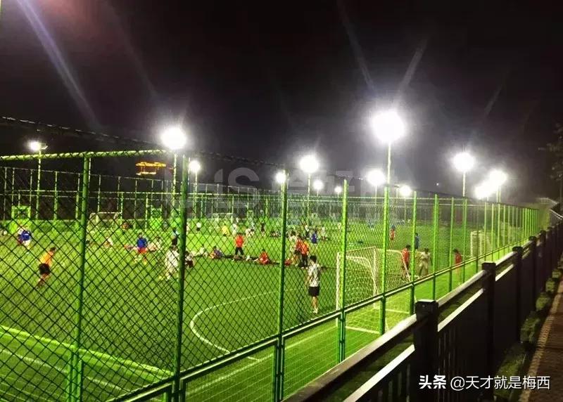 夜空中最亮的星请照亮我前行英文,夜空中最亮的星照亮前方的路