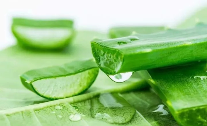 忍得住纹身的疼痛却忍不住想你,纹身忍疼的方法