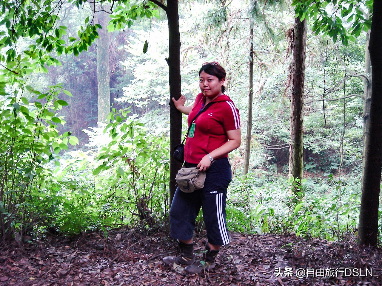 我们夫妻的身体变形记，减肥来之不易，恶心自己高兴别人