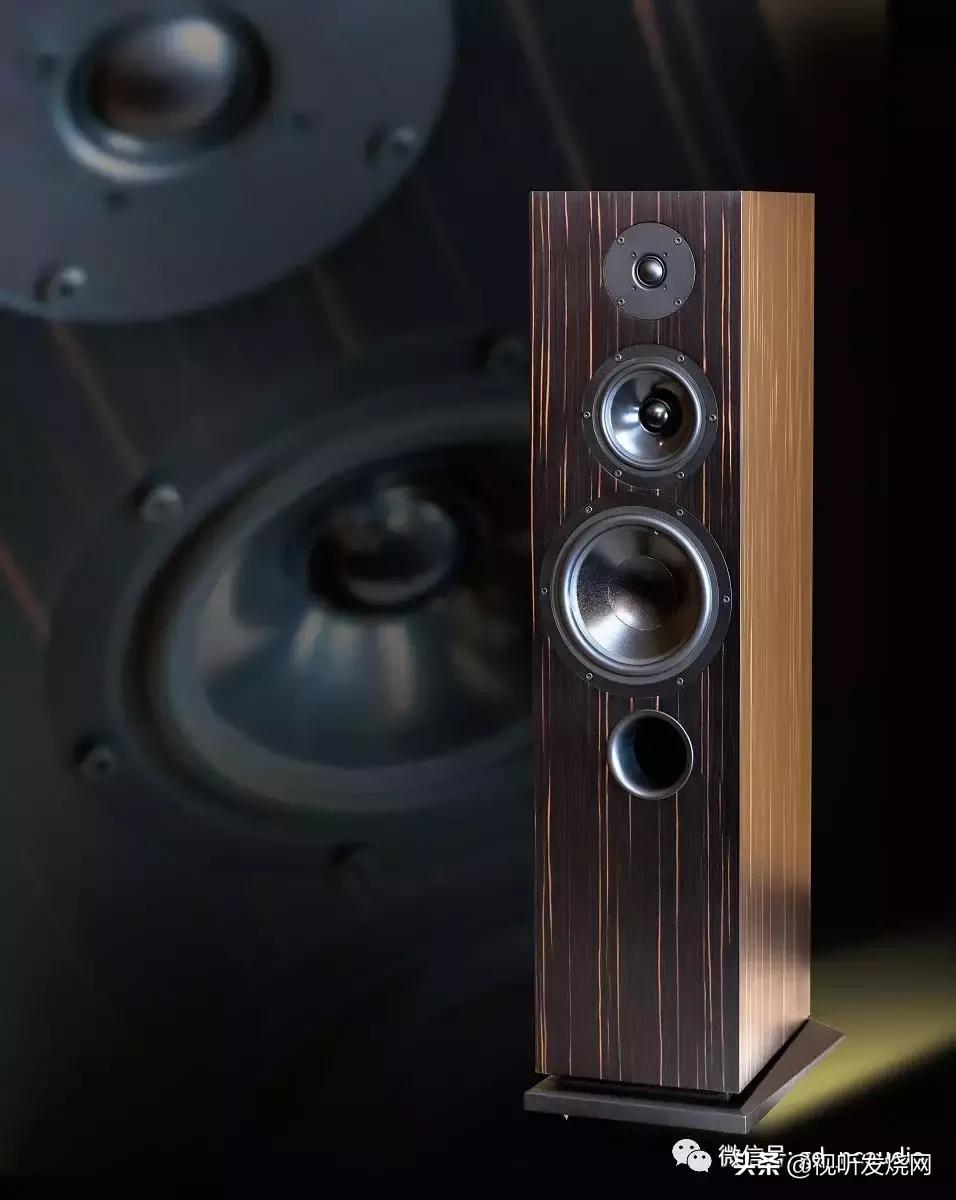 入门级也是高配置：AUDES（瑰丽）MAESTRO146落地式扬声器