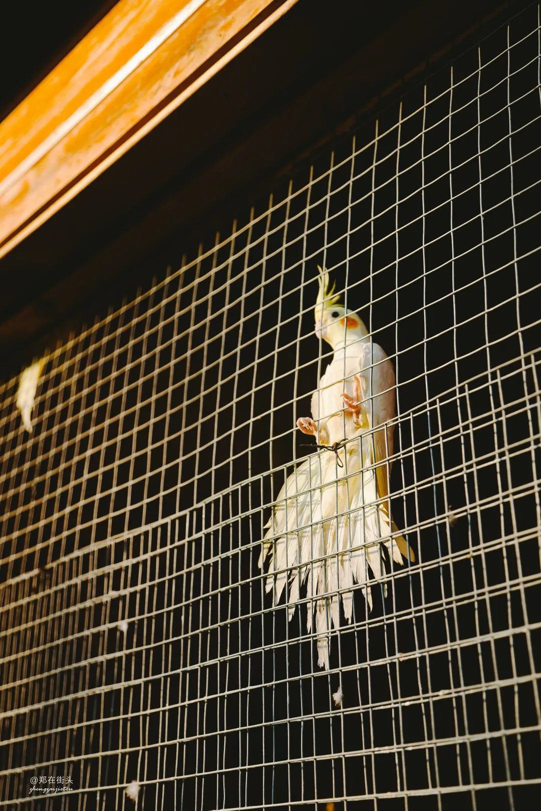 大悟十八潭适合什么样的人玩,大悟十八潭中国旅游日免门票吗