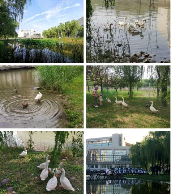 颜值爆表!28万平绿地,55%绿化率,来看西安这所园林式高校