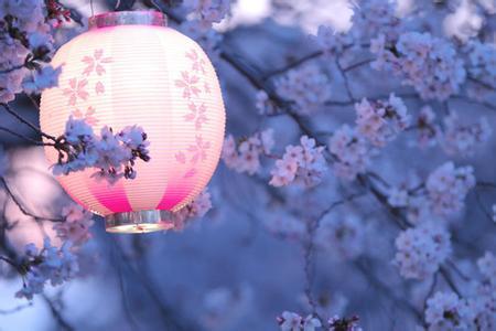 关于日本的樱花文化,樱花文化发展史