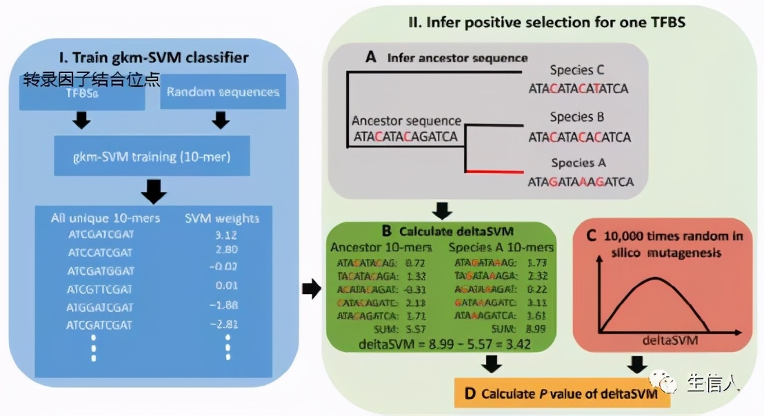 生信分析过时了吗,生信分析最新热点
