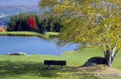 ps锐化和模糊有什么区别,ps锐化模糊