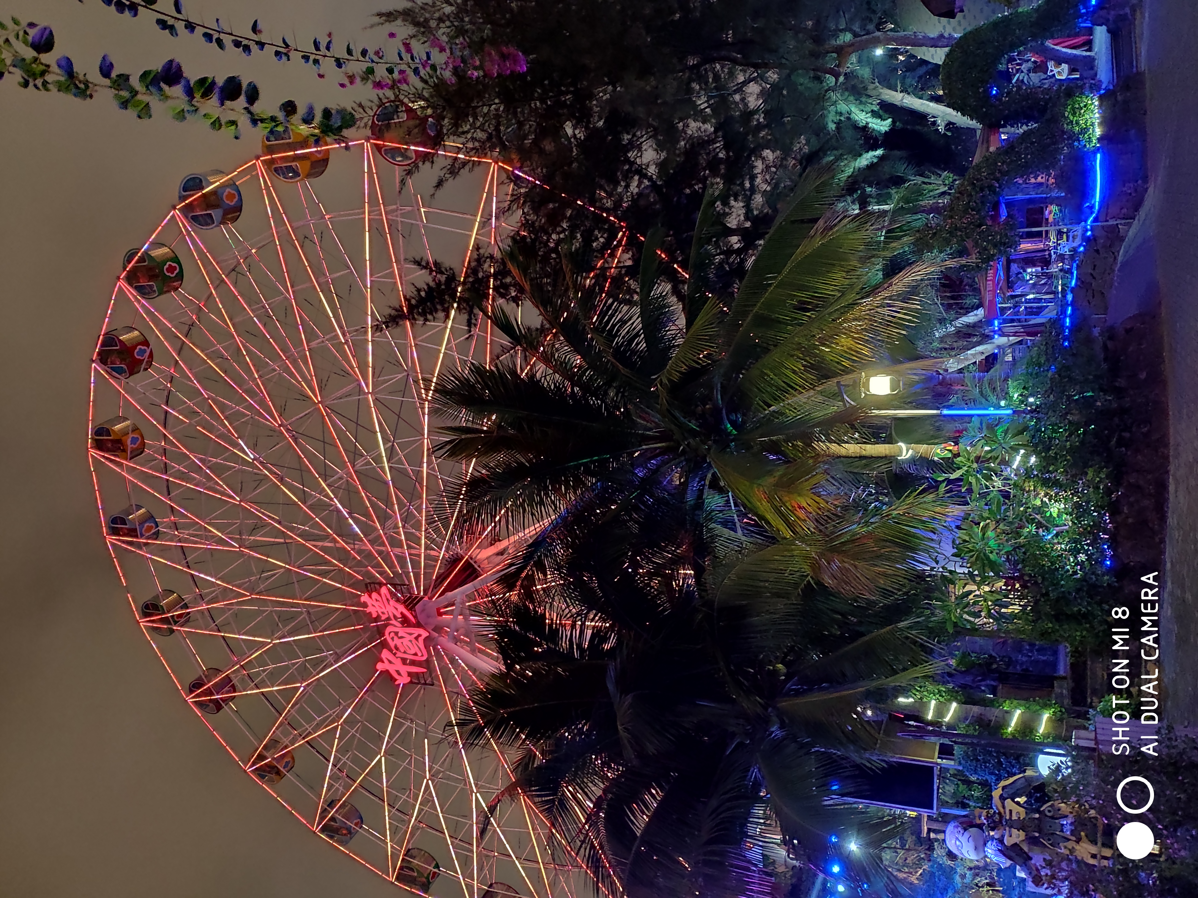 小米8的拍照怎么样？夜拍海口万绿园毫无压力