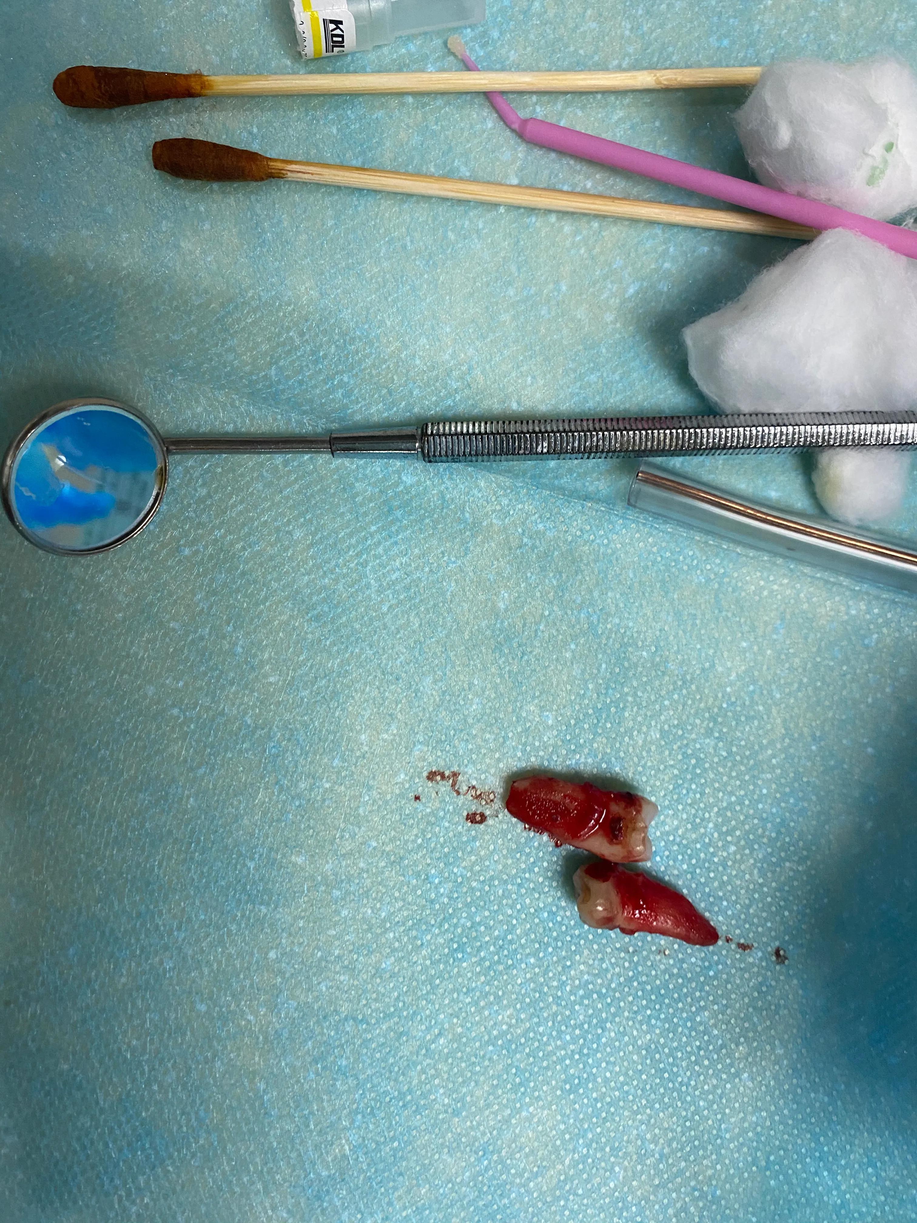 潘潘的记事簿 (潘潘的梦幻故事)