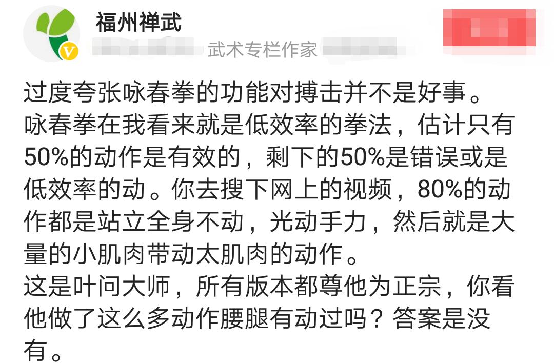 武术大师评价叶问,叶问咏春拳真实实力