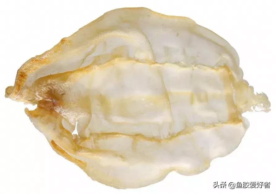 花胶最高级的做法,花胶选法