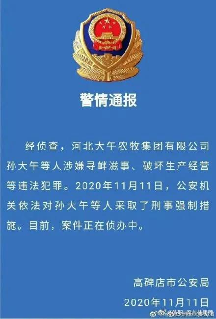 企业家孙大午干了什么,孙大午案对民营企业的启示