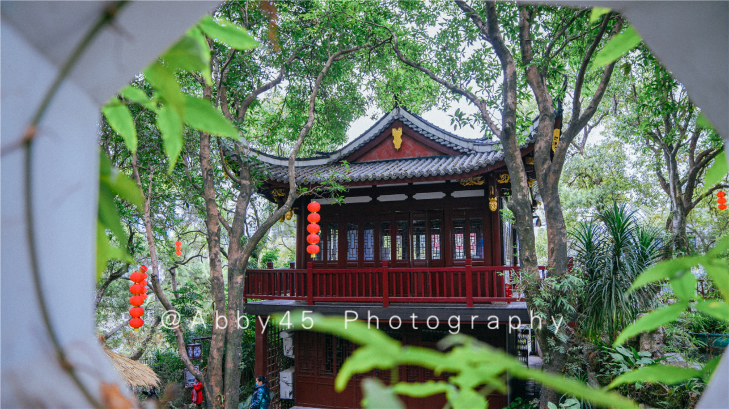 国内十大兰圃之一在福州，莫负好*光春**，免费尽享兰花的春之盛宴