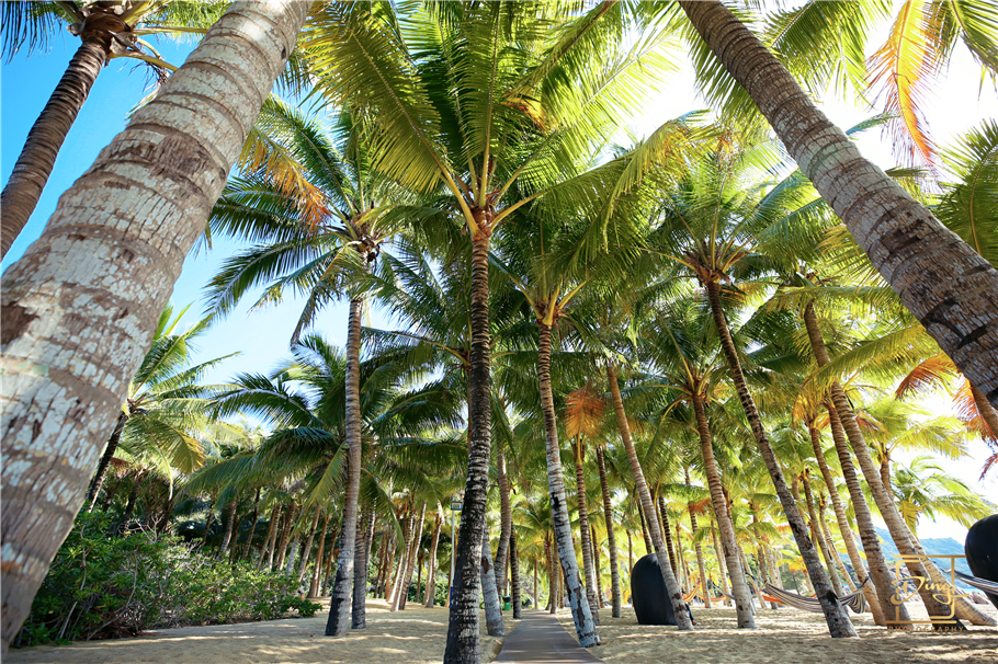 海南猴岛旅游自由行攻略,海南猴岛和呆呆岛攻略