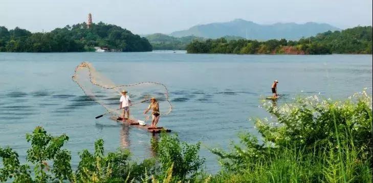 兴宁适合女性创业吗,回乡创业致富的女人