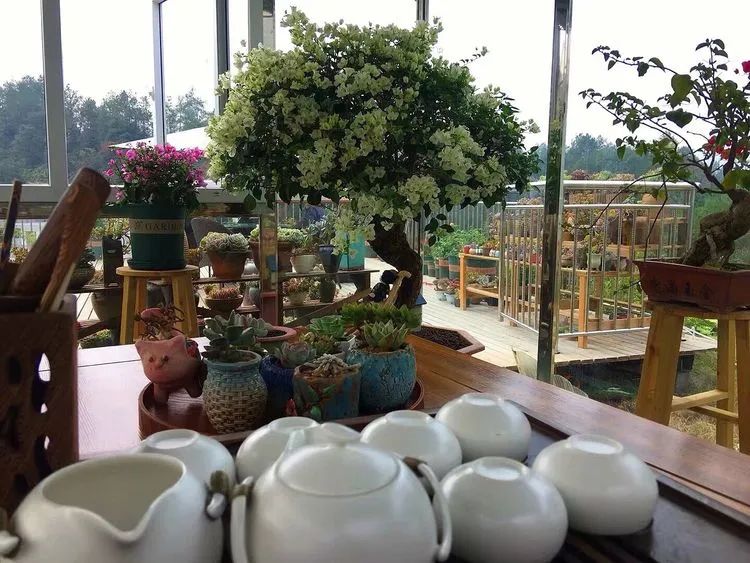 冬去春来，愿你无恙，疫情退去，养肉依旧！