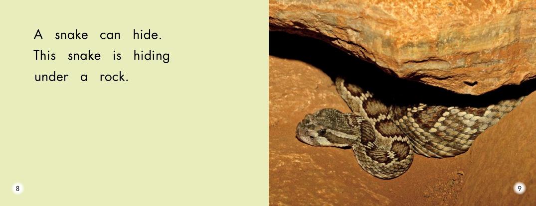 英语绘本故事小怪物,蝴蝶英语绘本阅读