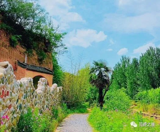 郑州赏荷花攻略,中国赏荷必去的地方