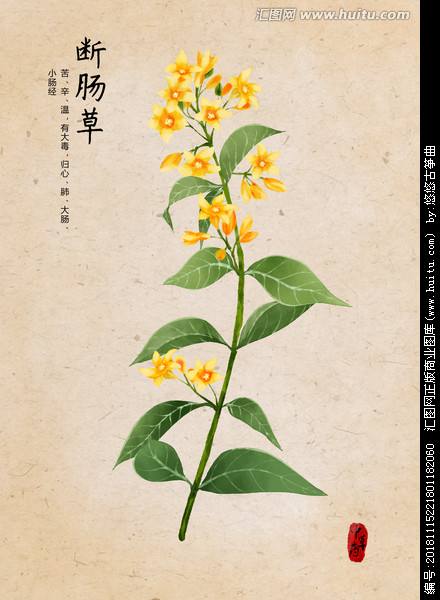 古代的毒药叫什么,中国古代十大毒药出自哪本书