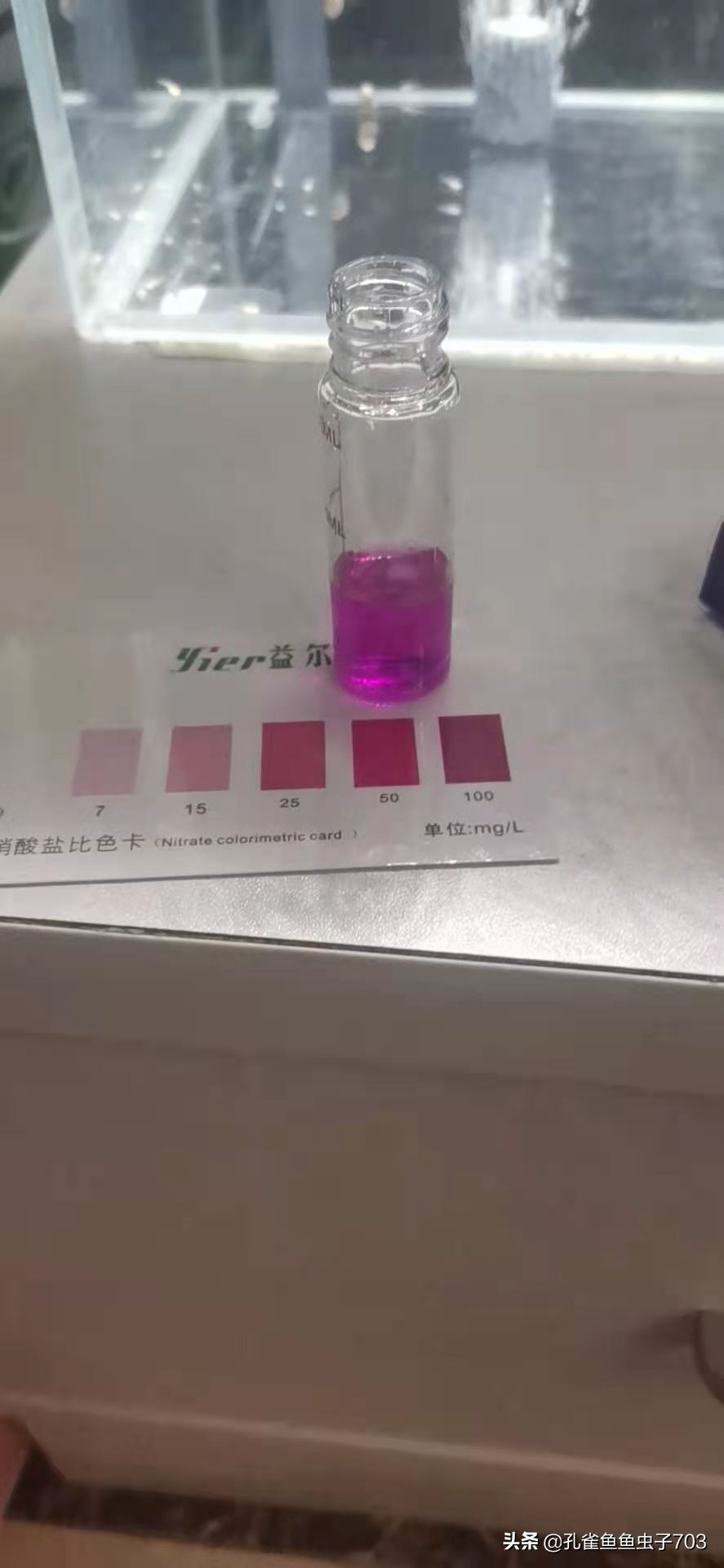 孔雀鱼买回来攻略,孔雀鱼买鱼技巧