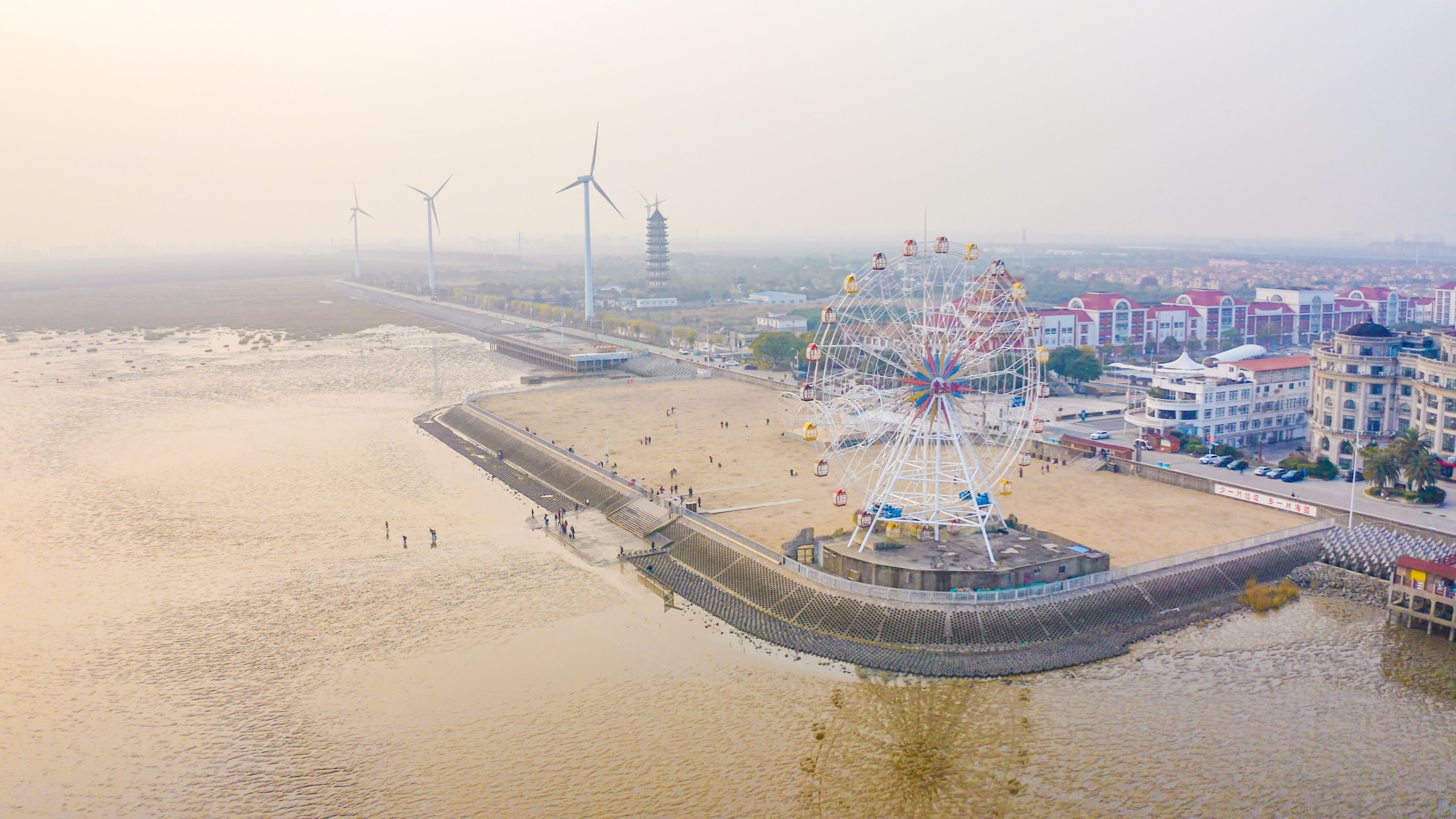 上海周边赶海一日游攻略,上海周边好玩的海边赶海在哪里