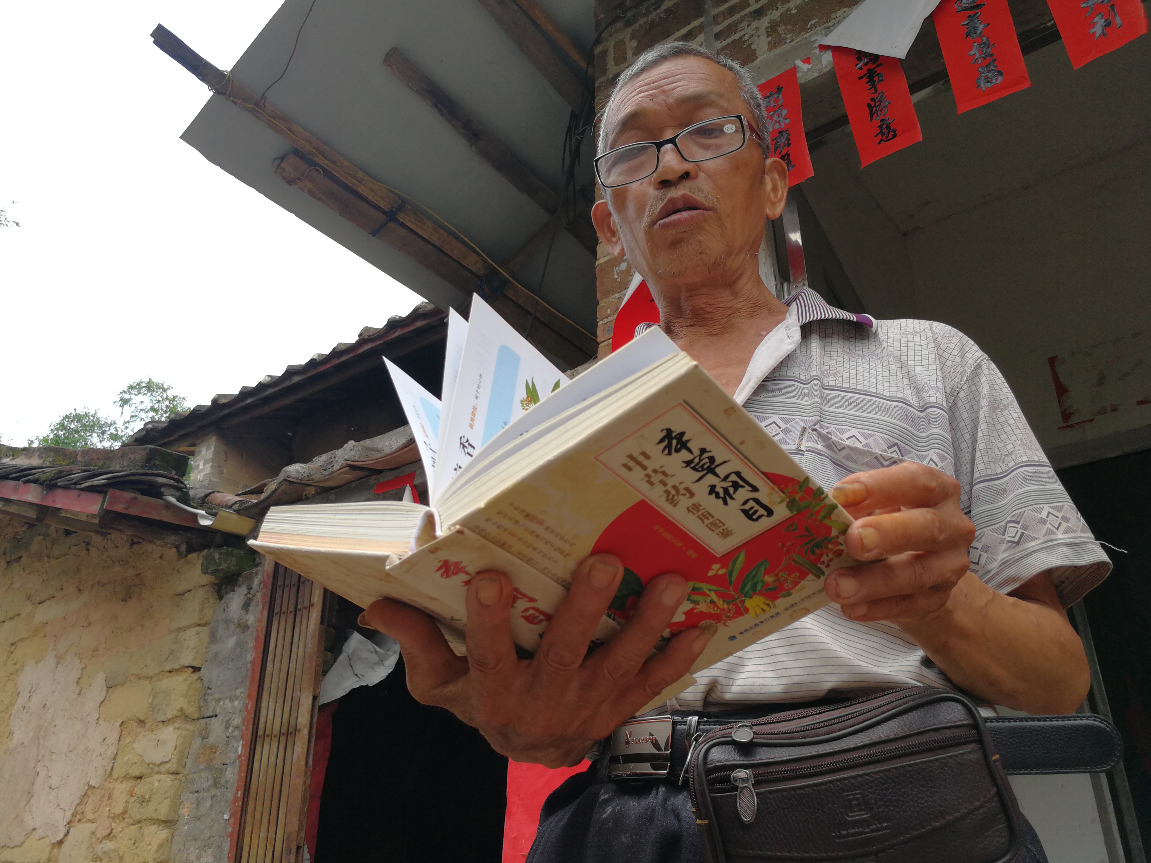 肇庆广宁荷木有个草药通，对着《本草纲目》识别药材