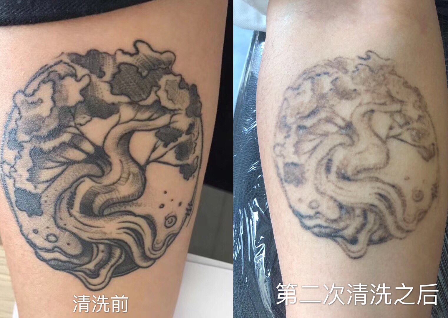 尼克老师教学视频,尼克老师课程