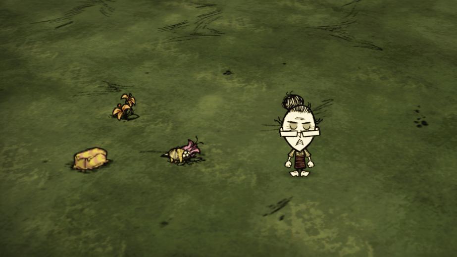 饥荒游戏物品,饥荒稀有物品一览表