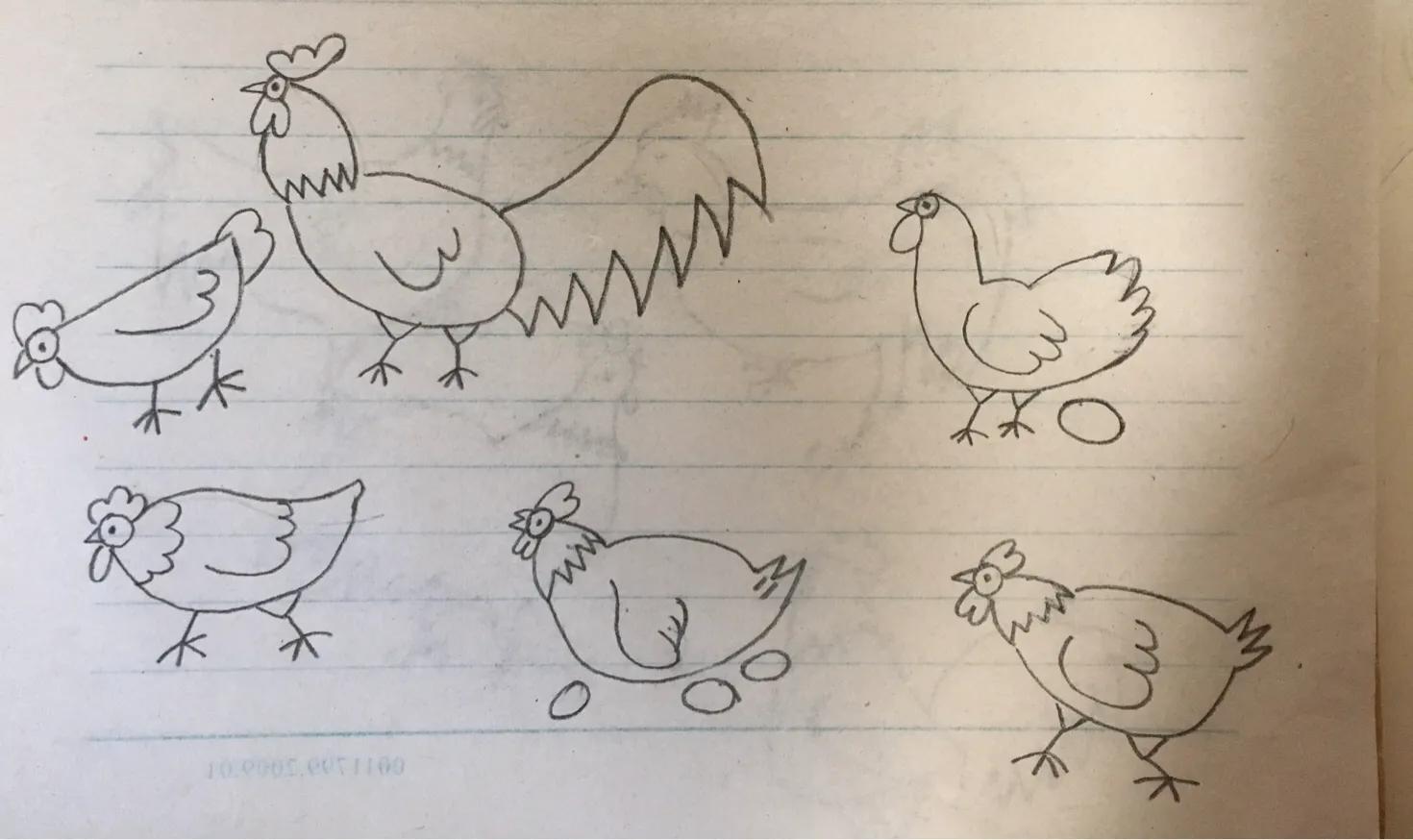 母鸡带小鸡简笔画,公鸡母鸡简笔画