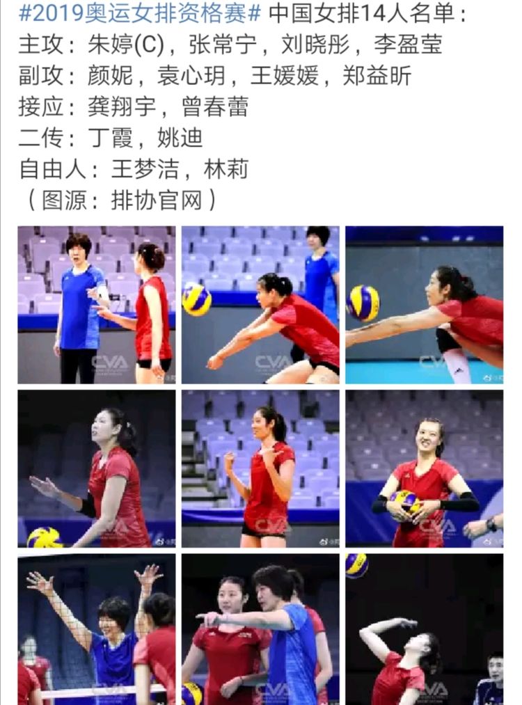 朱婷今天最真实消息,朱婷真实事件