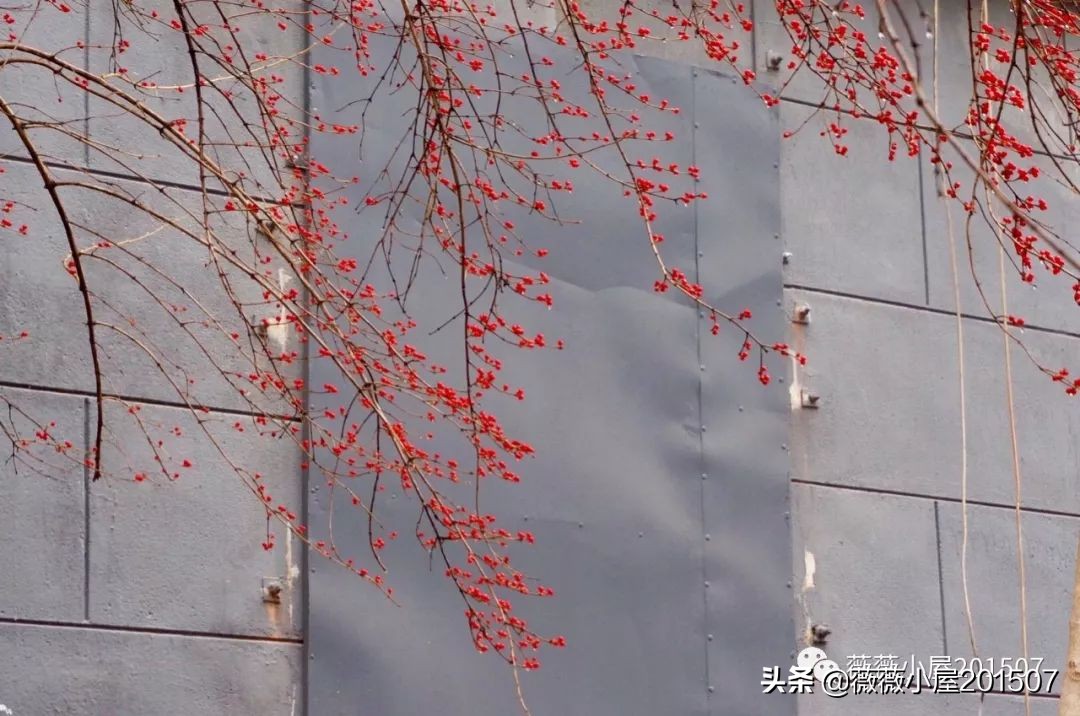 城市漫步,城市漫步郑州