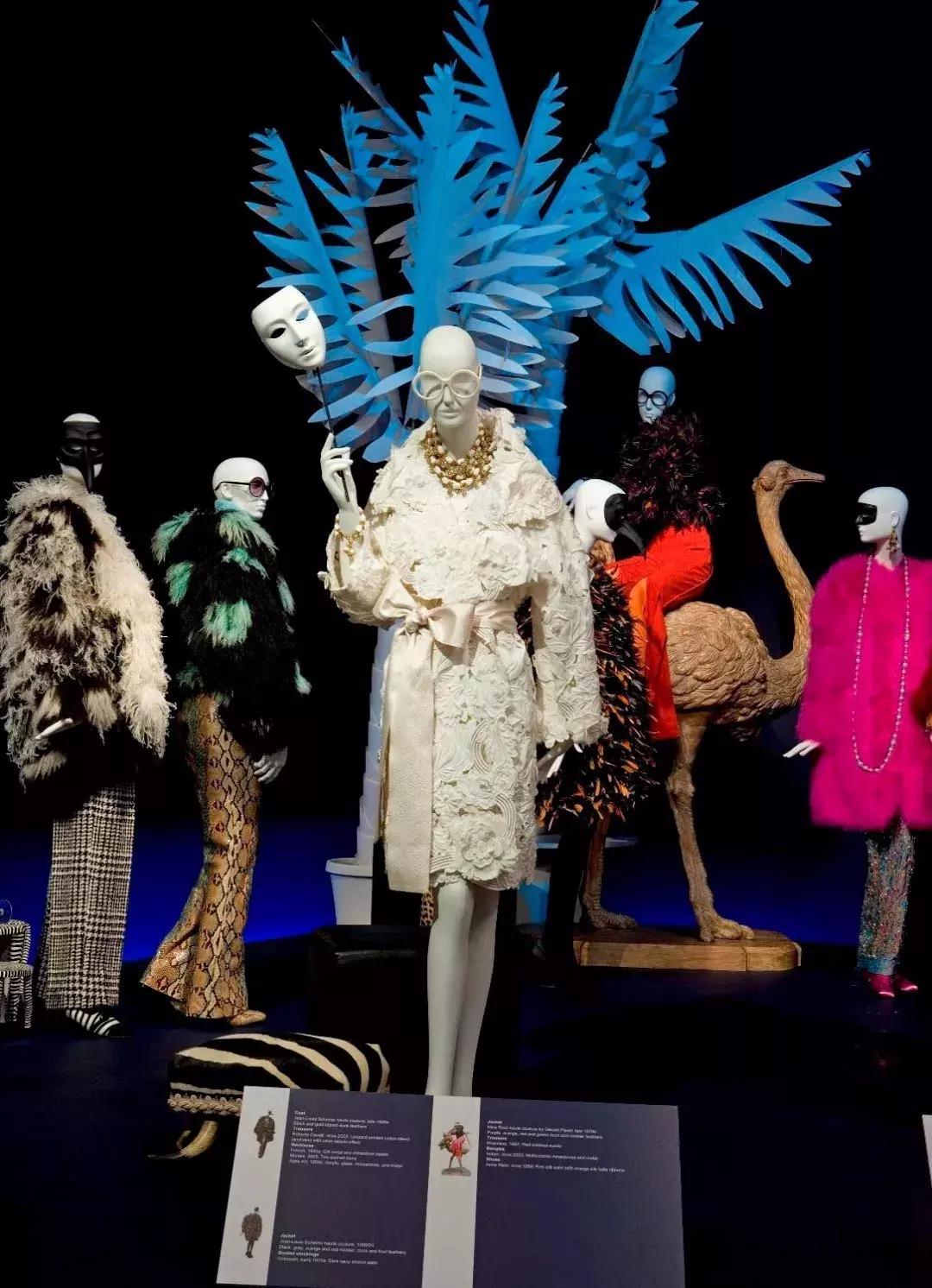 章泽天崇拜的眼神,章泽天崇拜感