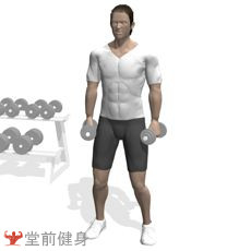 获取一周瘦4斤新手健身计划,初级力量训练计划一周表