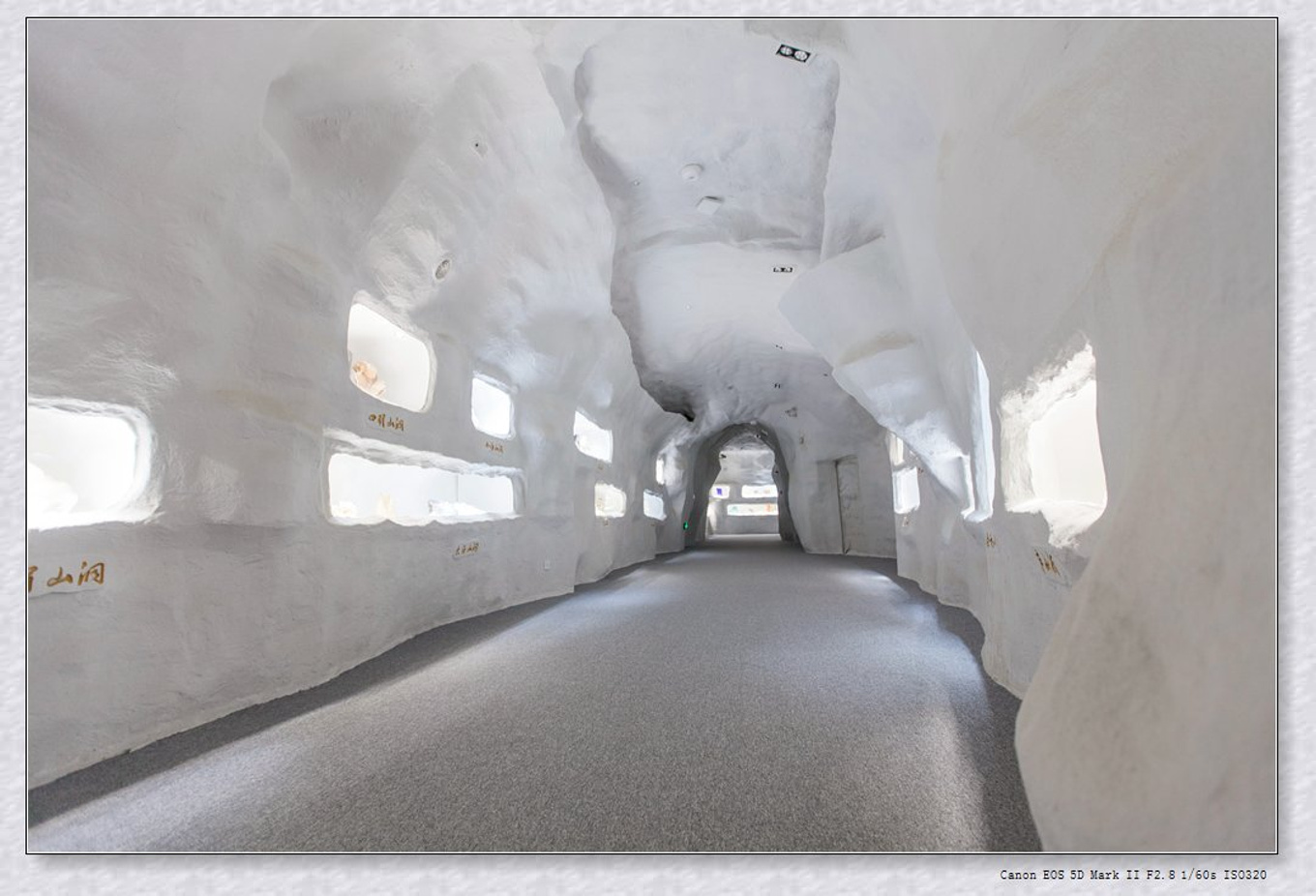 常州旅游东方盐湖城,骆驼之旅视频