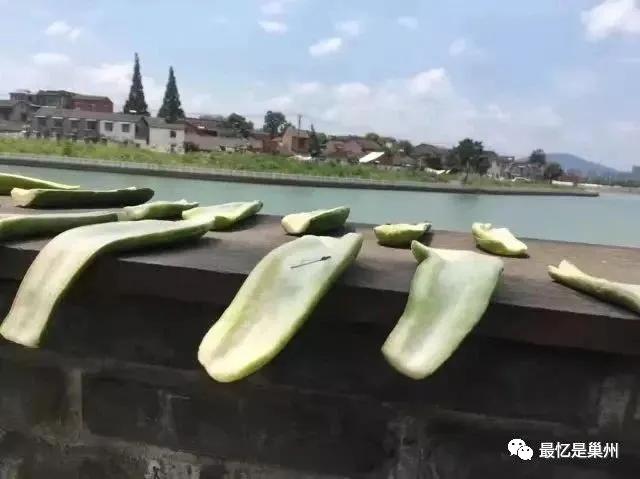 巢湖小菜瓜图片大全,巢湖正宗腌制菜瓜