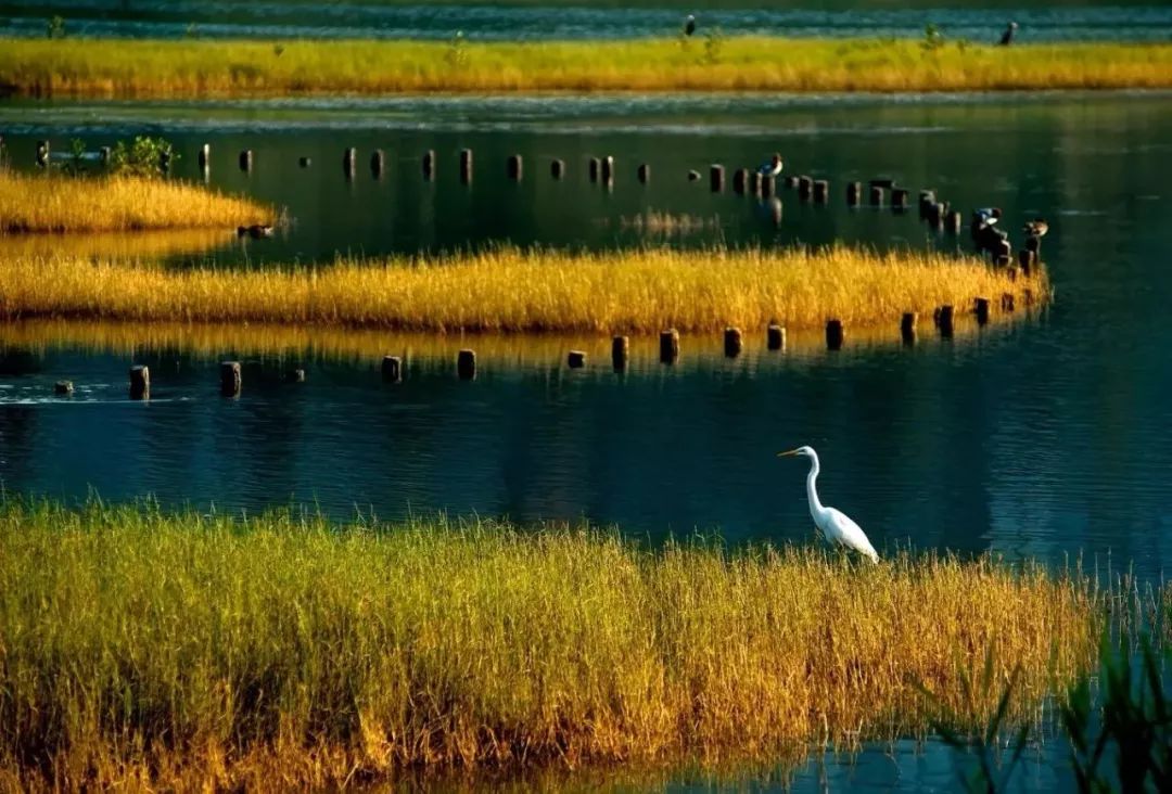 武汉必打卡排行榜,武汉十大打卡地