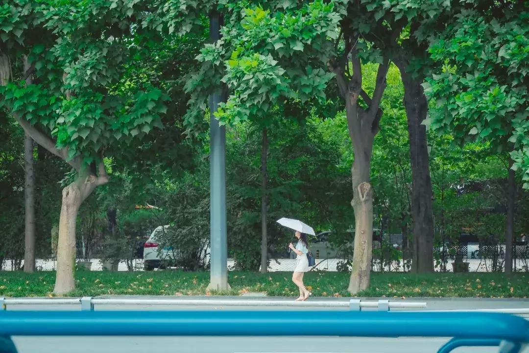 荷花池vs春熙路,成都荷花池攻略技巧