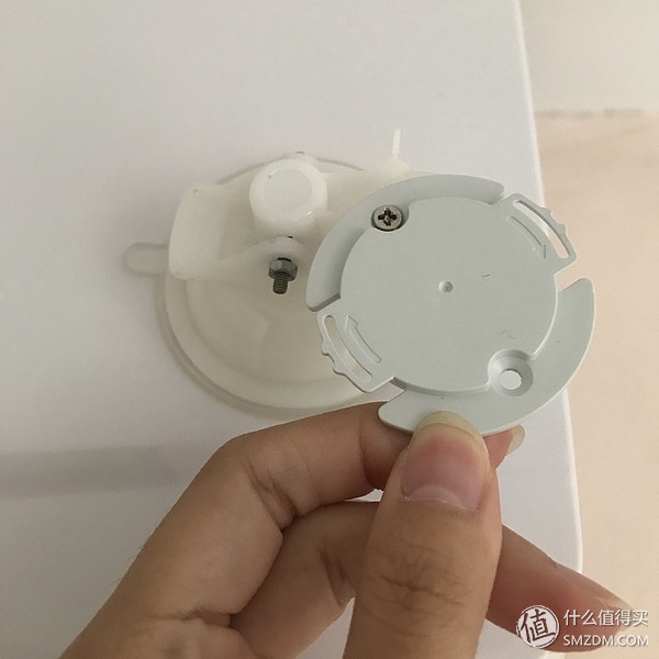 白天不在家猫喂食怎么办,白天不在家猫怎么养