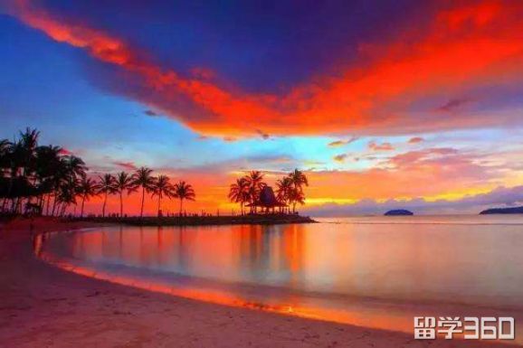 实话实说，8种留学生门派，你属于哪种？