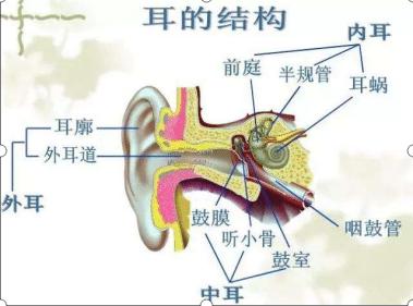 婴儿耳朵脏要处理吗,婴儿耳朵有耳垢怎么处理