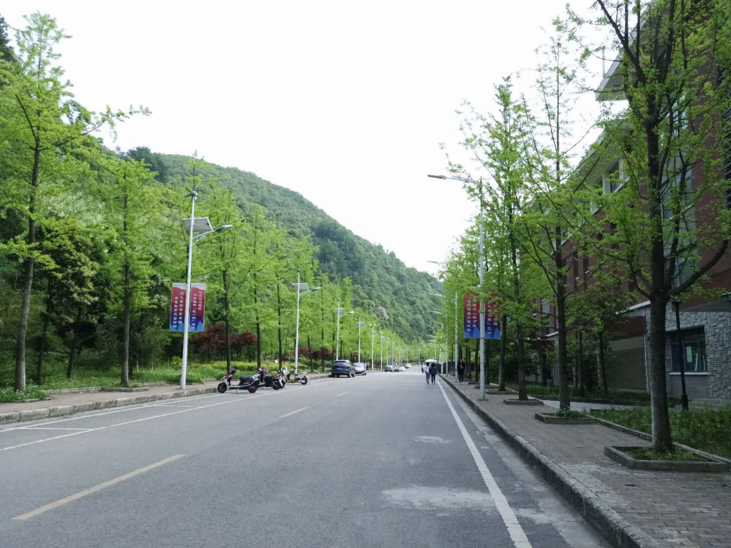 贵州省最大的大学城,贵州大学大学城
