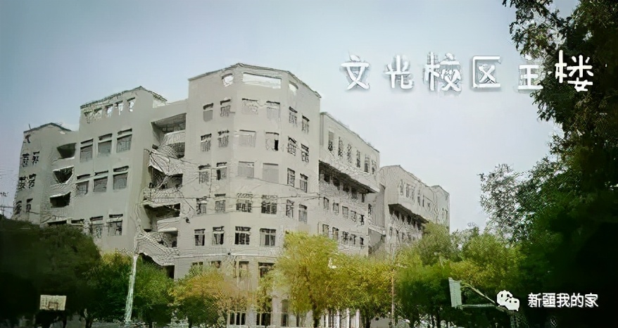 校园美食节登上热搜，*疆新**师范大学没想到你是这样的