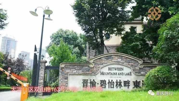 重庆法院拍卖房产全国排第一,重庆司法拍卖最新消息